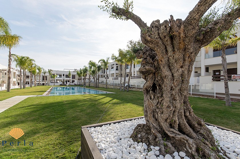 Bungalow de 2 habitaciones en Torrevieja