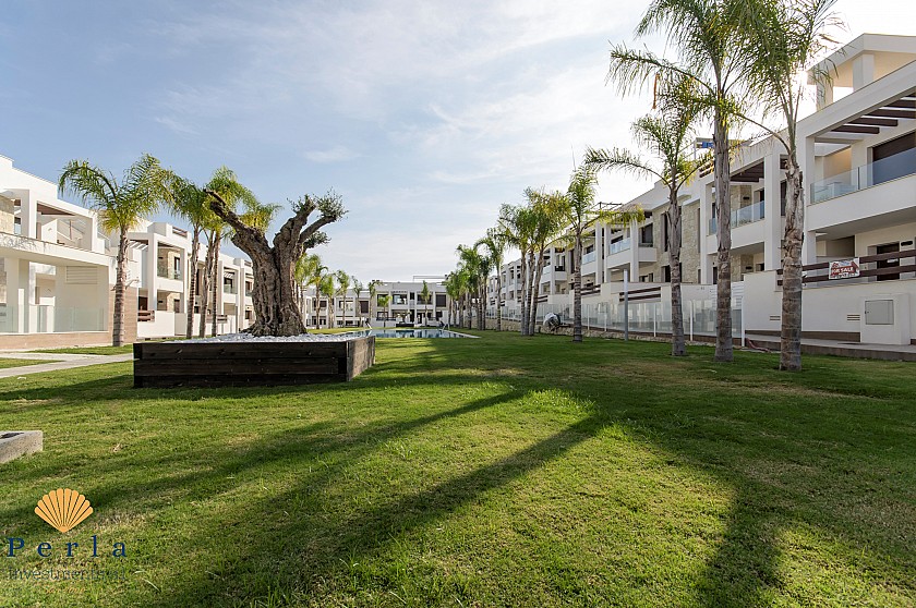 Bungalow de 3 habitaciones con solárium en Torrevieja